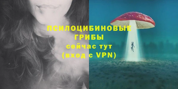 мдпв Ветлуга