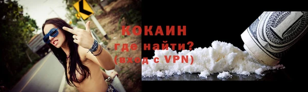 дурь Пестово