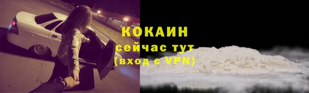 эйфоретик Пересвет