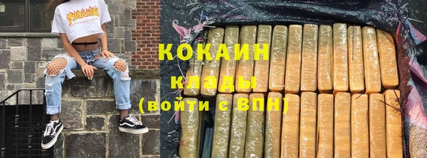 эйфоретик Пересвет