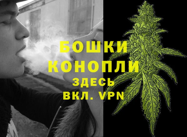 эйфоретик Пересвет