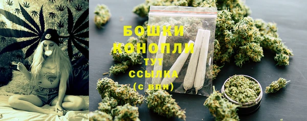 эйфоретик Пересвет