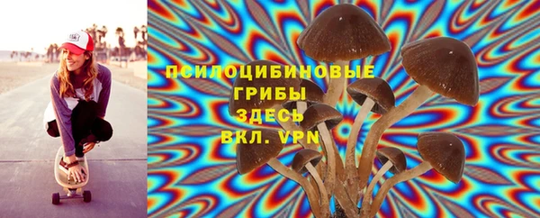 дурь Пестово