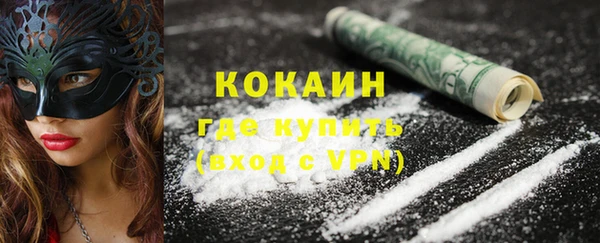 дурь Пестово