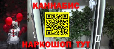 прущие грибы Балашиха