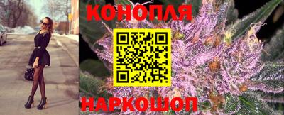 прущие грибы Балашиха
