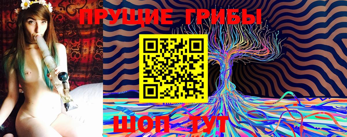 Псилоцибиновые грибы Psilocybine cubensis  Псилоцибиновые грибы Cubensis  Гурьевск  Вход с VPN 