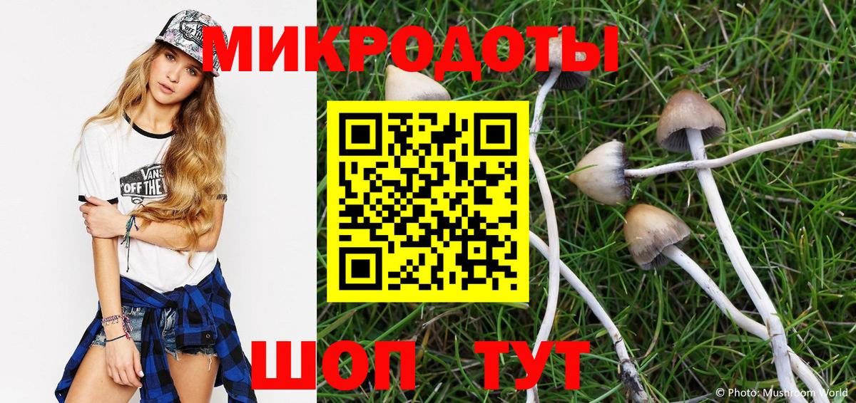 Галлюциногенные грибы мицелий  Псилоцибиновые грибы Psilocybine cubensis  купить наркотик  Гурьевск 