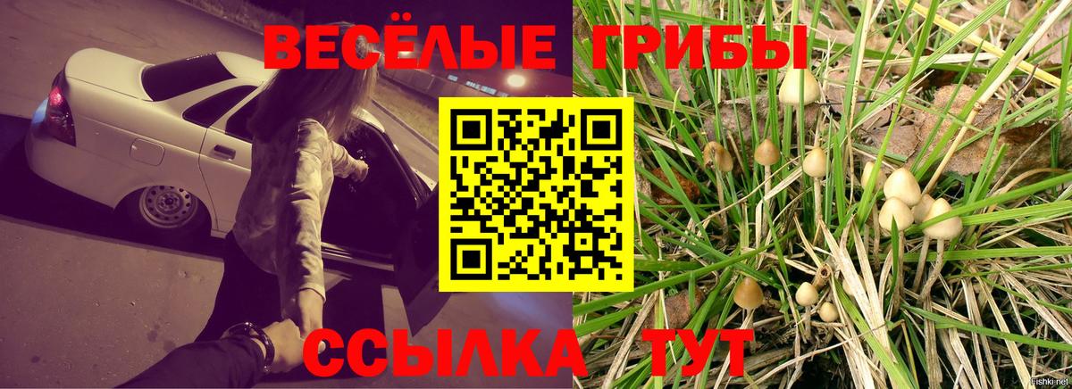 Псилоцибиновые грибы прущие грибы Гурьевск